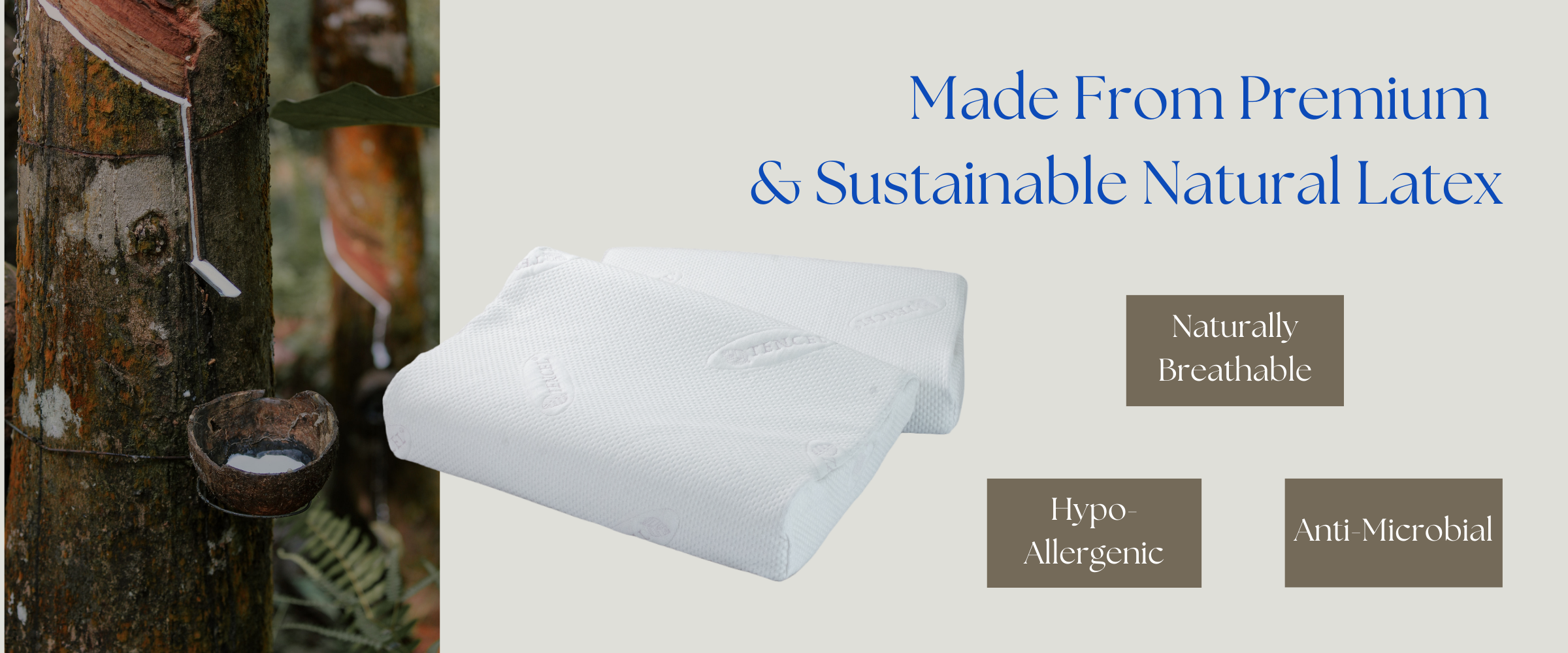 Align Pillow Made From Natural Latex Banner
